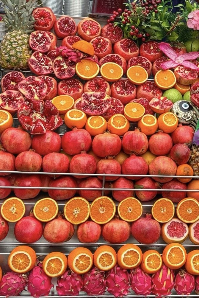 Фотография автора Sordia Tako