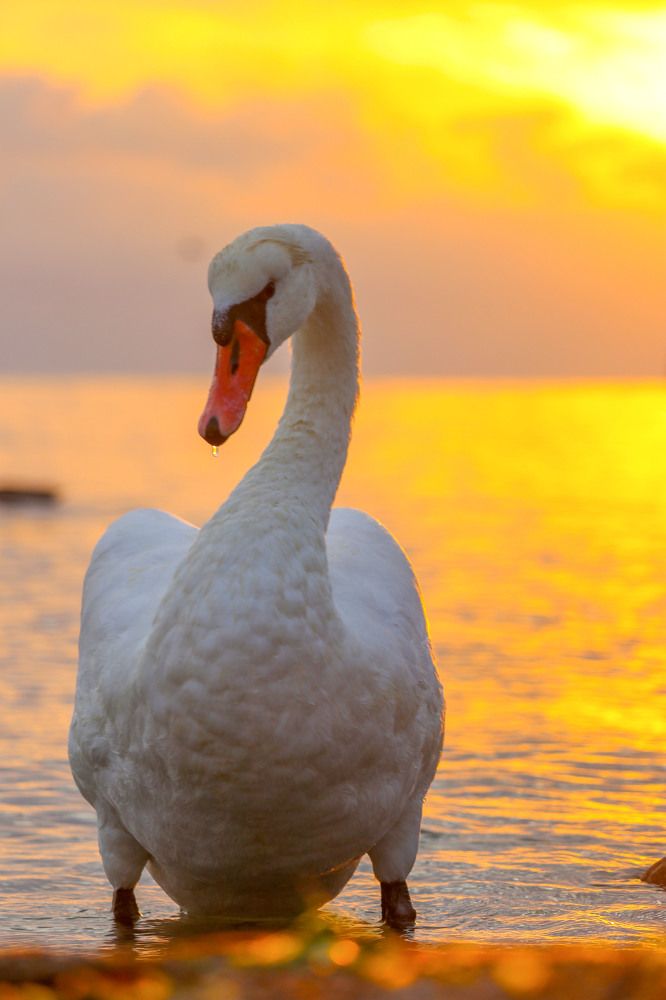 Photograph by Полина Крылова