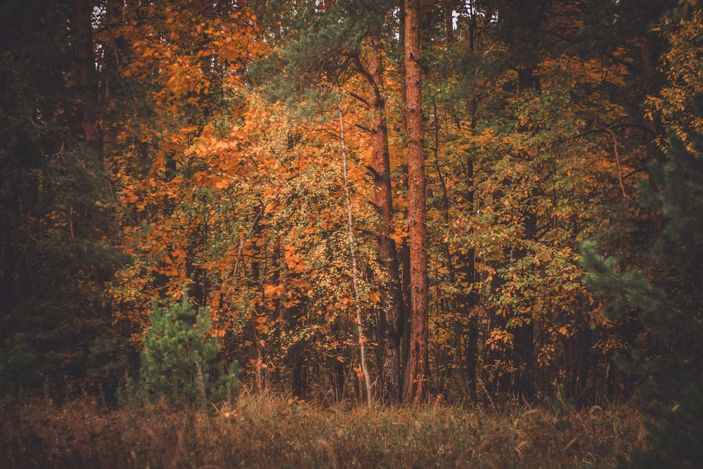 Photograph by Марина Гаврилова