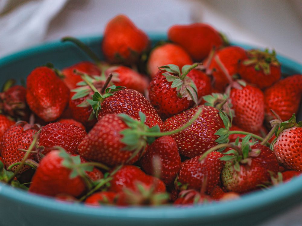 Photograph by Irina Chka