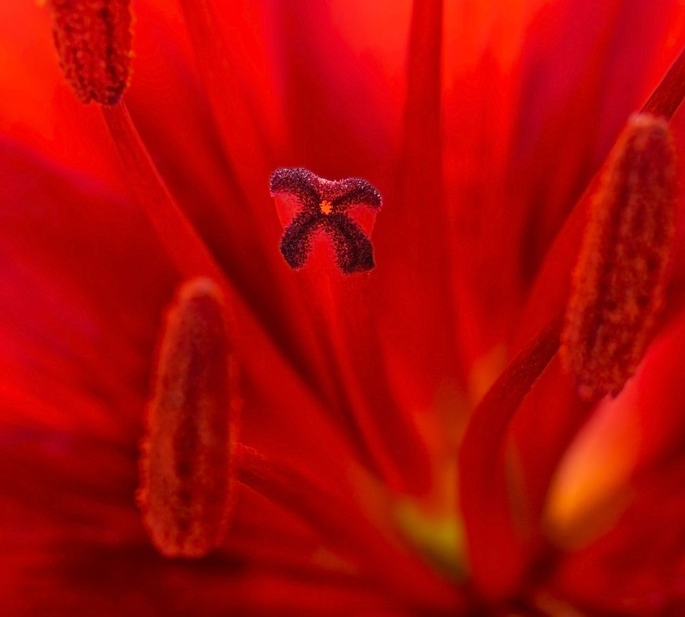 Photograph by Наталья Соколова