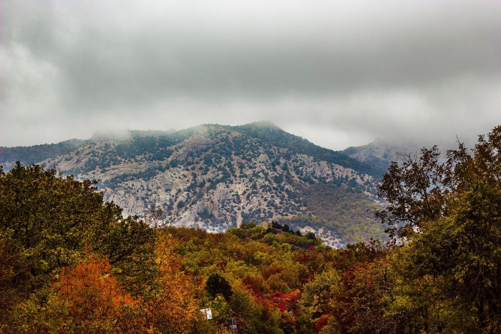 Photograph by Полина Крылова