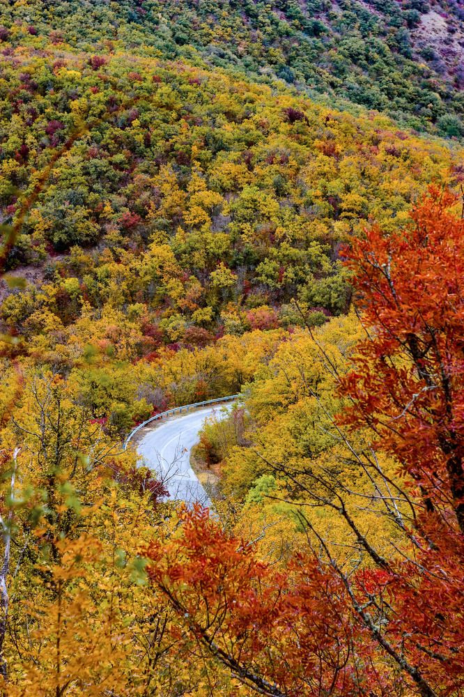 Photograph by Полина Крылова
