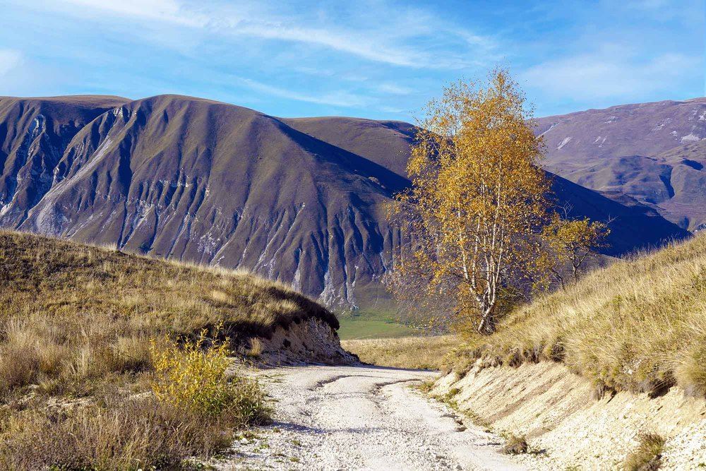 Photograph by Евгений Киселев