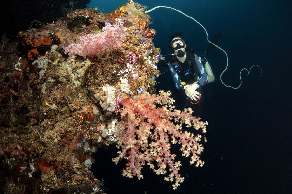 Photograph by Deniz muzaffer Gokmen