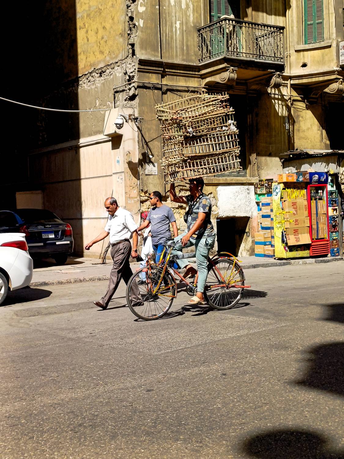 Photo #11172154