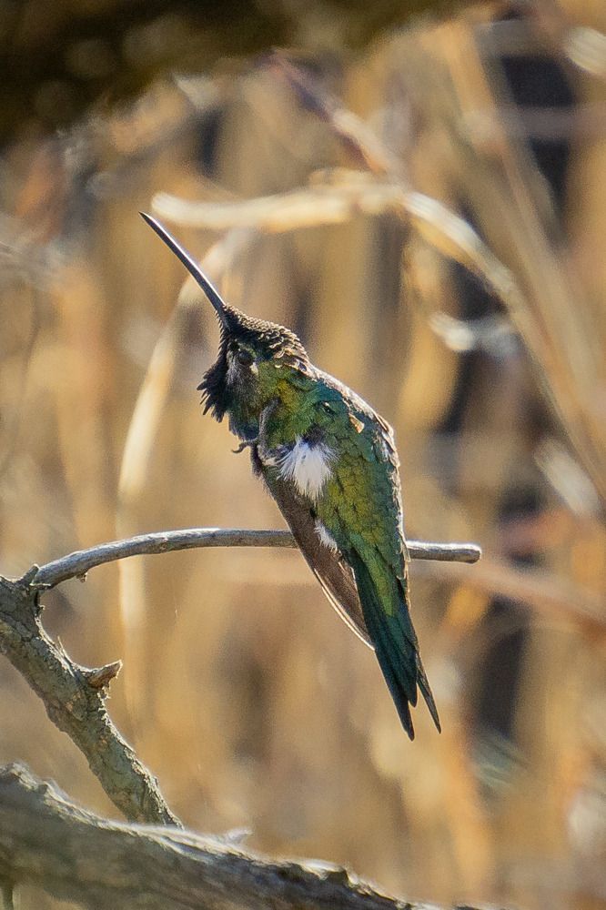 Photograph by María Laura Giorda