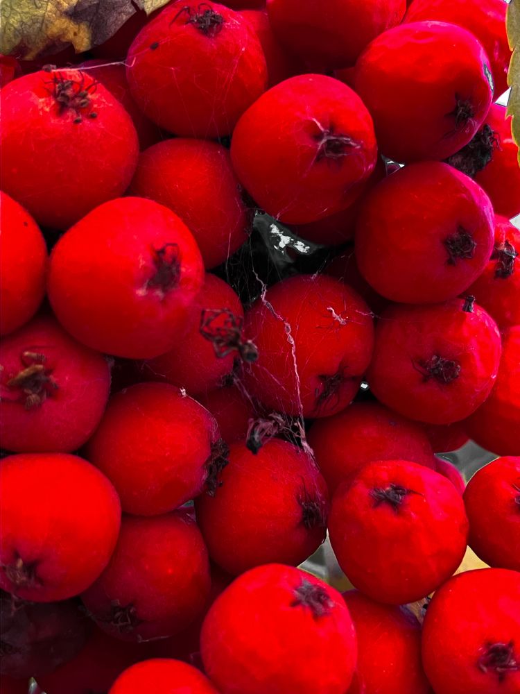 Photograph by Мария Карпычева