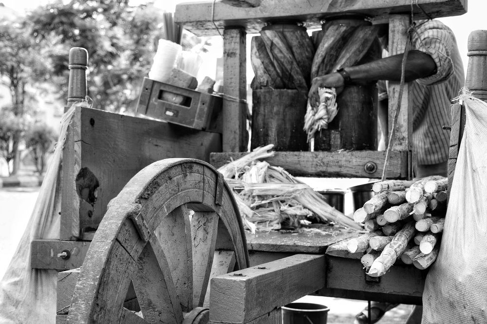 Photograph by Krunal PATEL