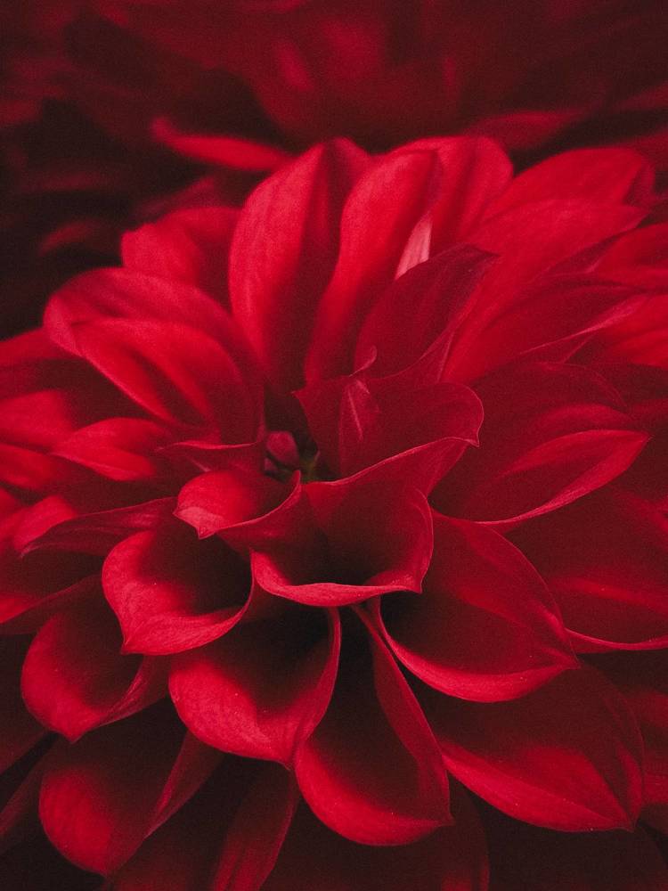 Photograph by Наталья Алфёрова