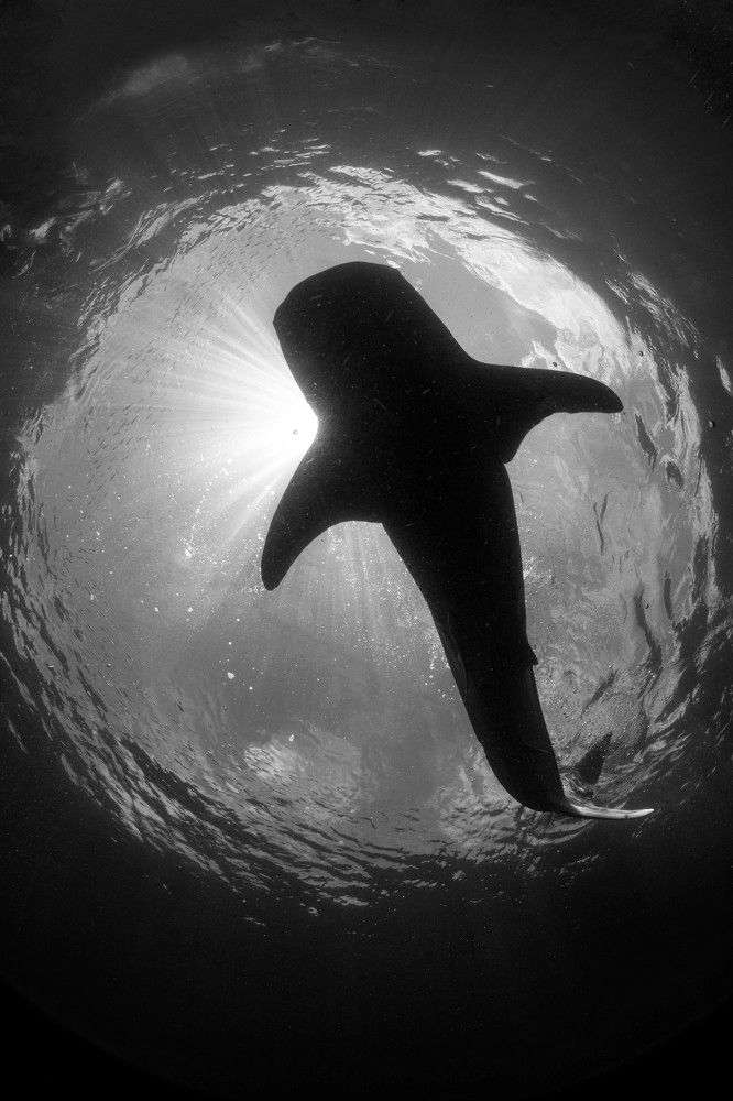 Photograph by Deniz muzaffer Gokmen