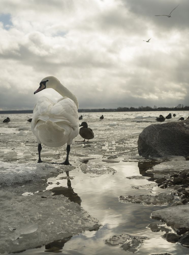 Photograph by Olga Zdančuka