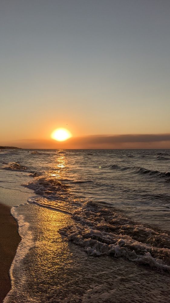 Фотография автора Васильева Ирина