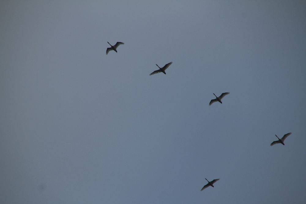 Фотография автора Анастасия Зверева