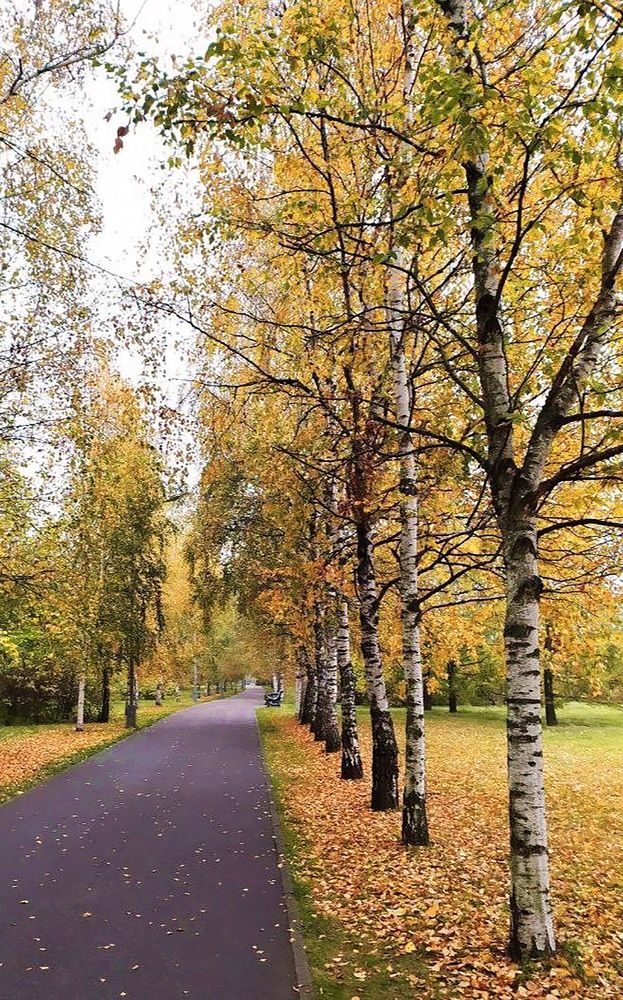 Photograph by Юлия Холомцева