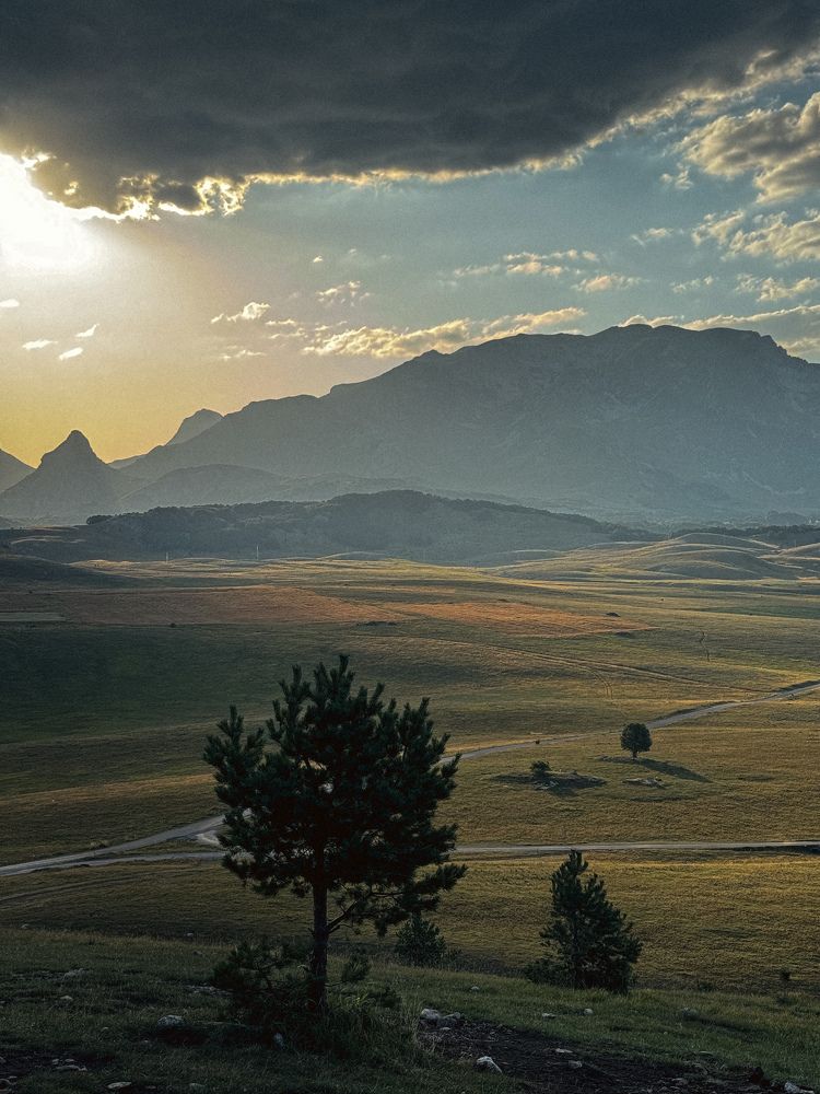 Photograph by Uliana Volegova