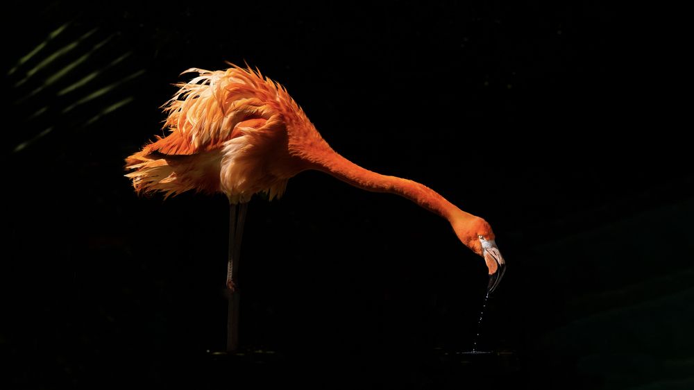 Photograph by Николай Мозгунов