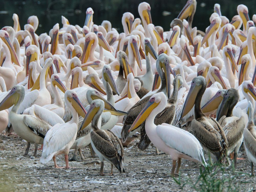 Photograph by Валентина Лопаткина