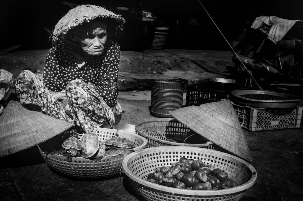 Фотография автора Lương Kha