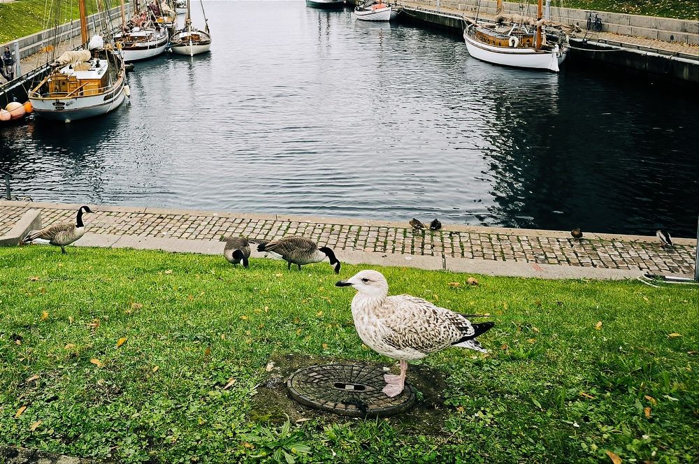 Photograph by Елена Симонова