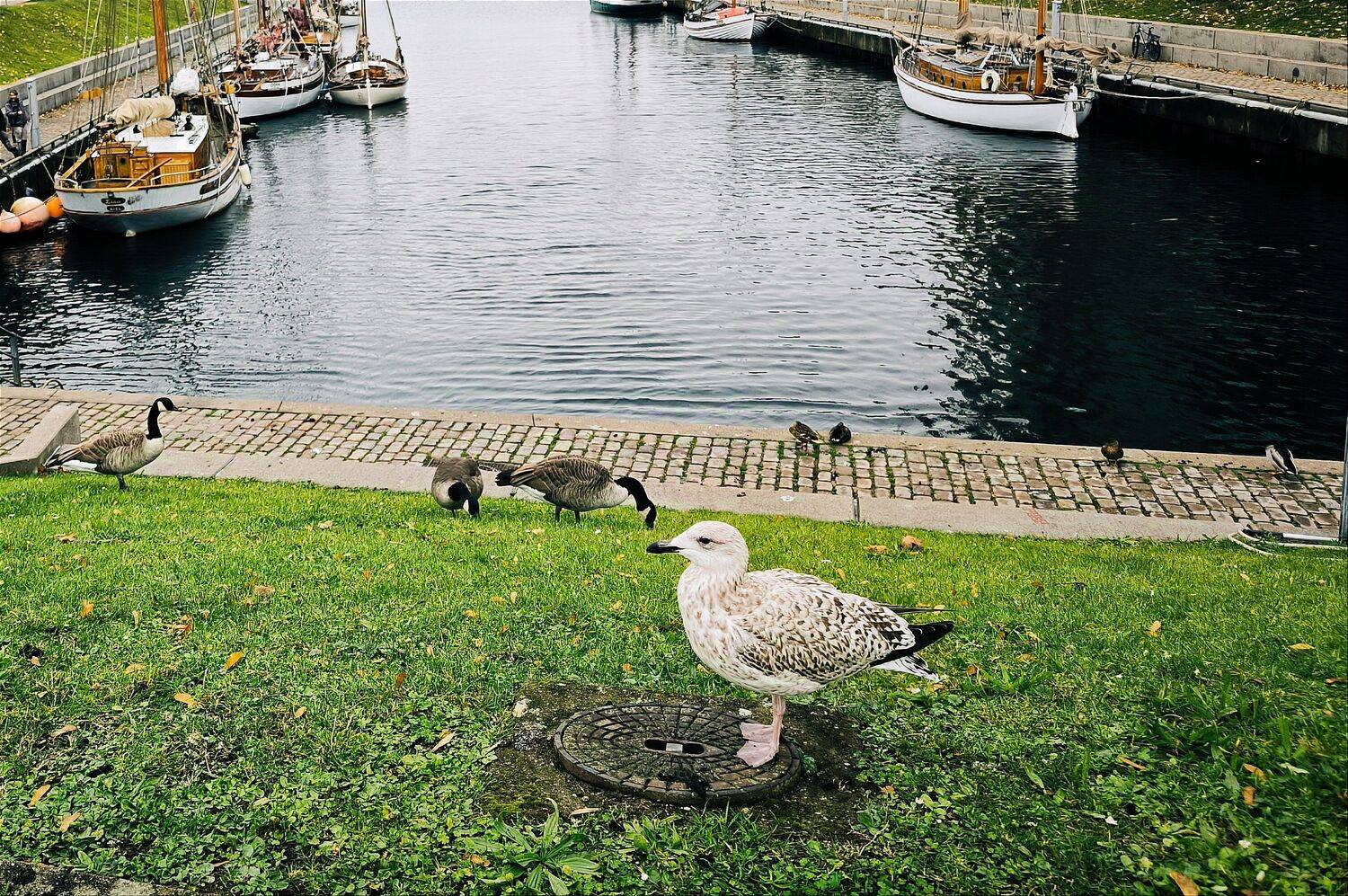 Photo #11172428