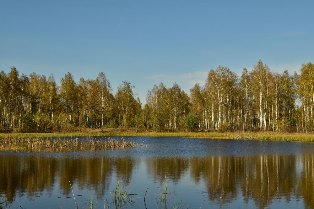 Photograph by Dimon Grinih