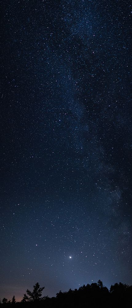 Photograph by Olga Zdančuka