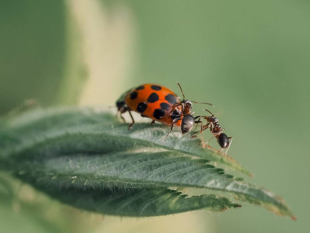 Photograph by Ирина Протченко