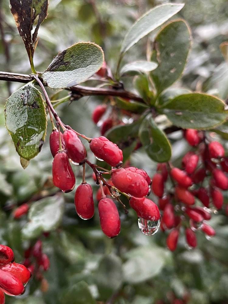 Фотография автора Ольга Каминская