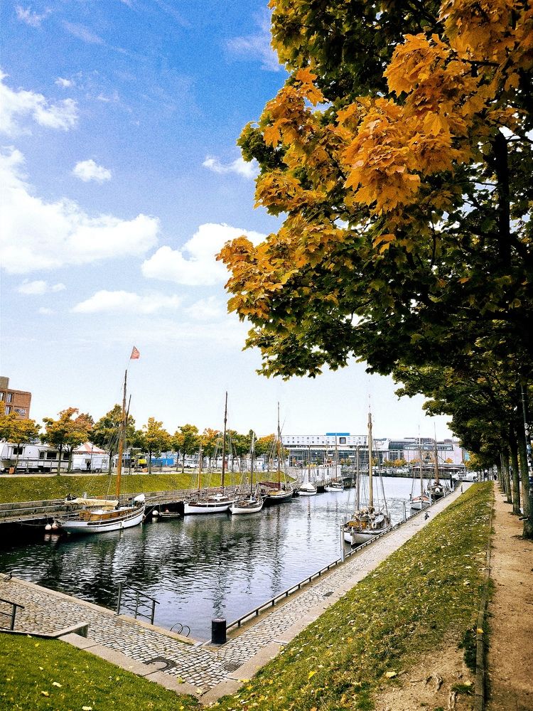 Photograph by Елена Симонова