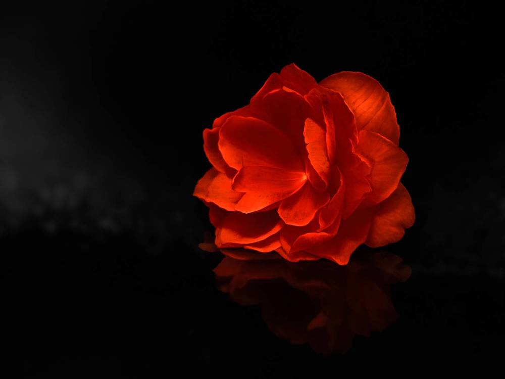 Photograph by Алексей Горин