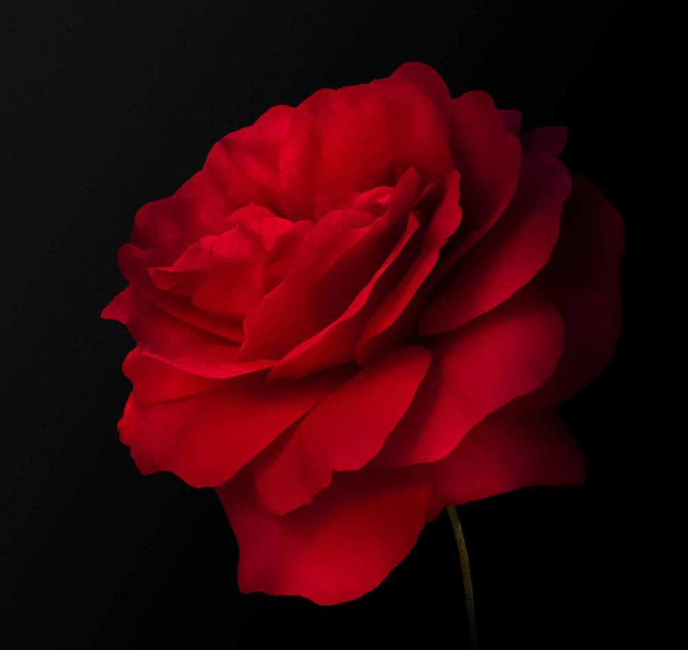 Photograph by Алексей Горин