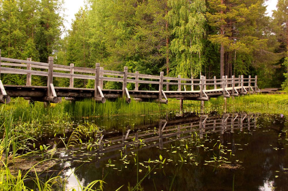 Photograph by Татьяна Февральская