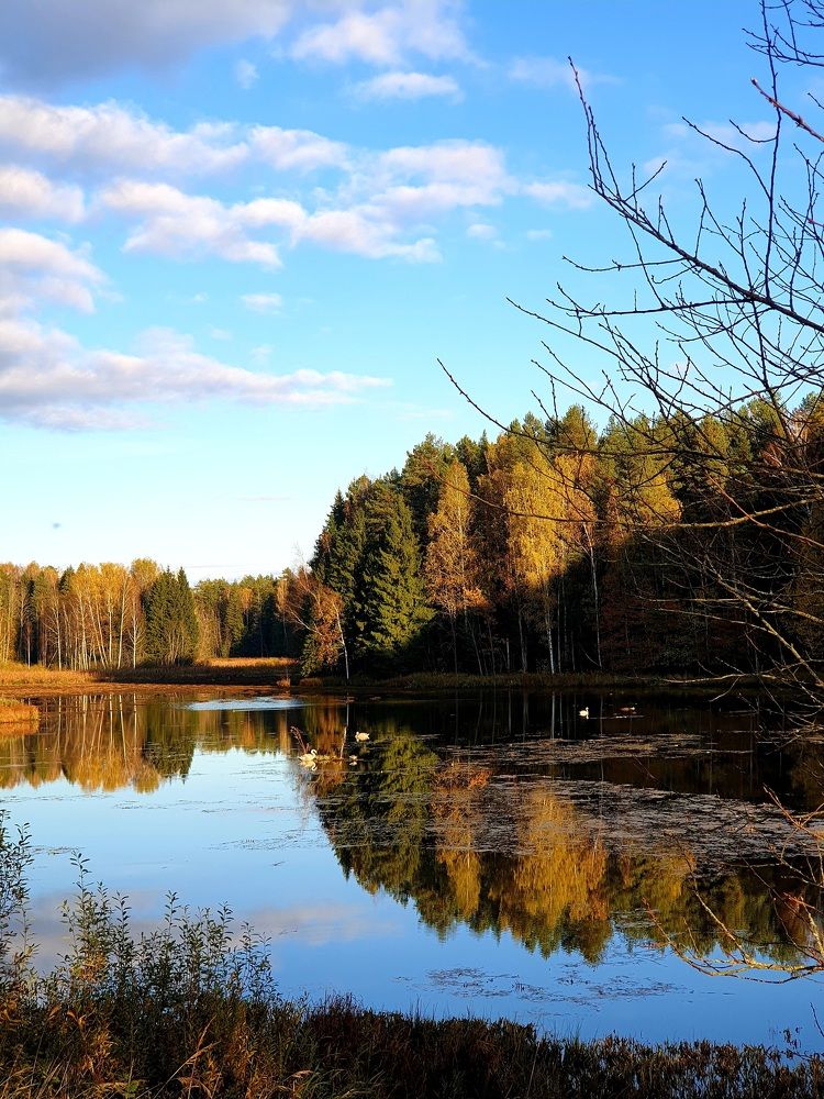 Фотография автора Ирина