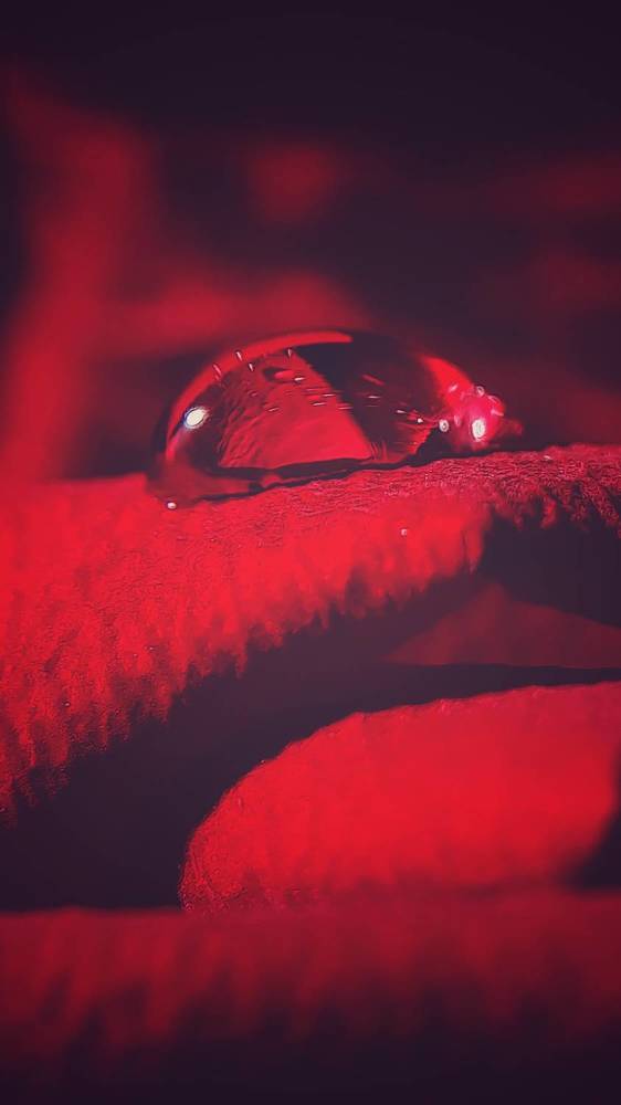 Photograph by Наталья Лищинская