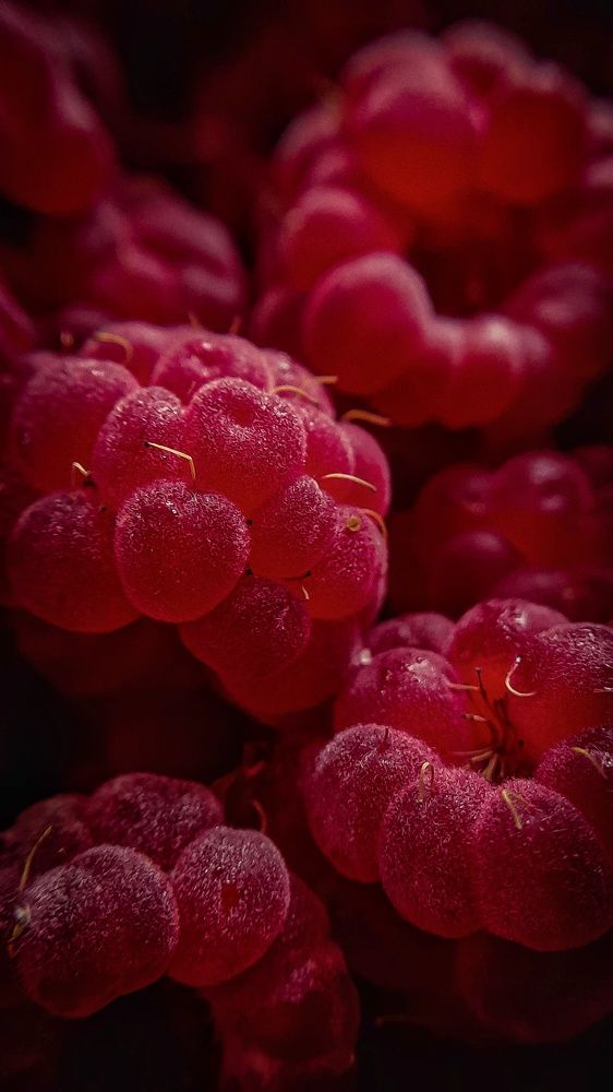 Photograph by Наталья Лищинская