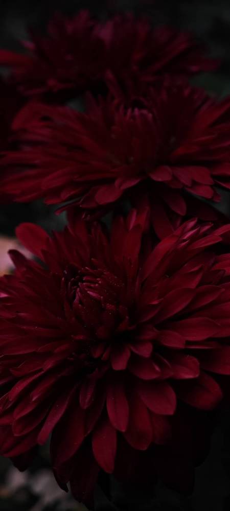 Photograph by Анна Курлова