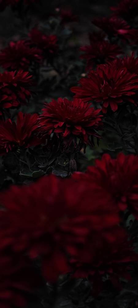 Photograph by Анна Курлова