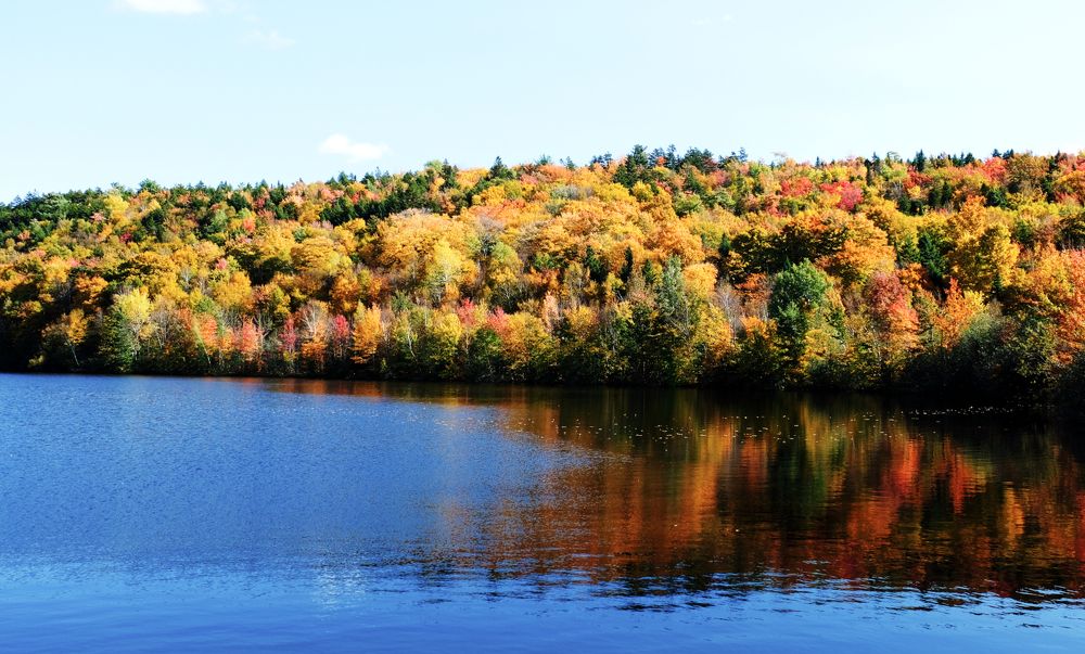 Colors on the lake