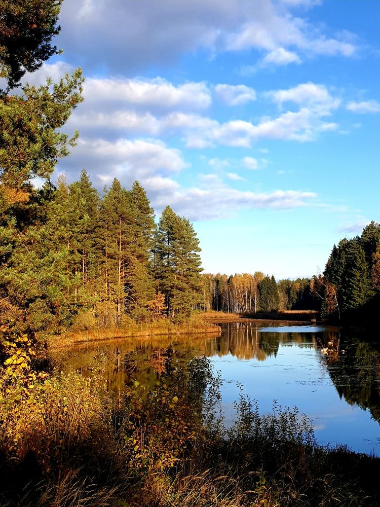 Фотография автора Ирина