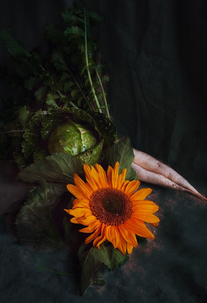 Photograph by Татьяна Гатиятуллина
