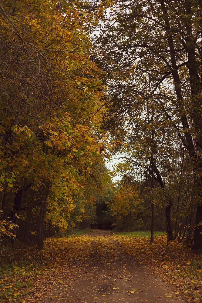 Photograph by Руслана Ковалевская