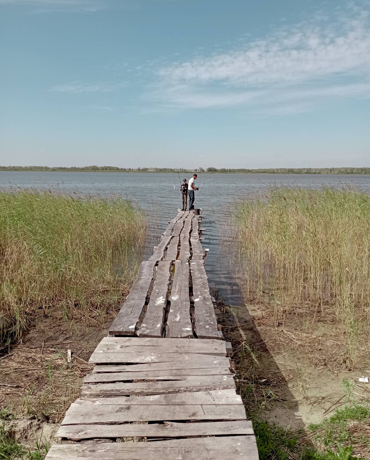 Photo #11172697
