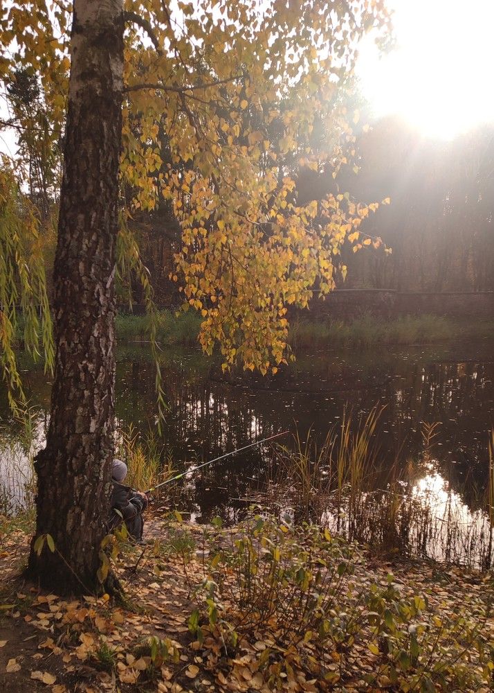 Фотография автора Татьяна Могилевец