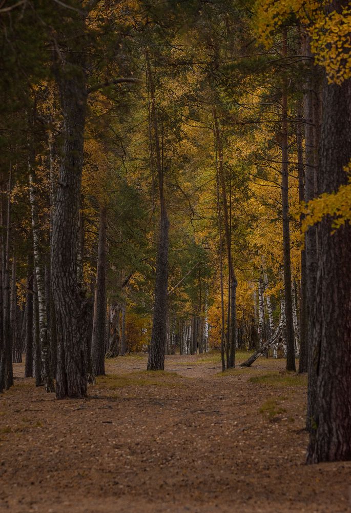 Photograph by Людмила Подольская