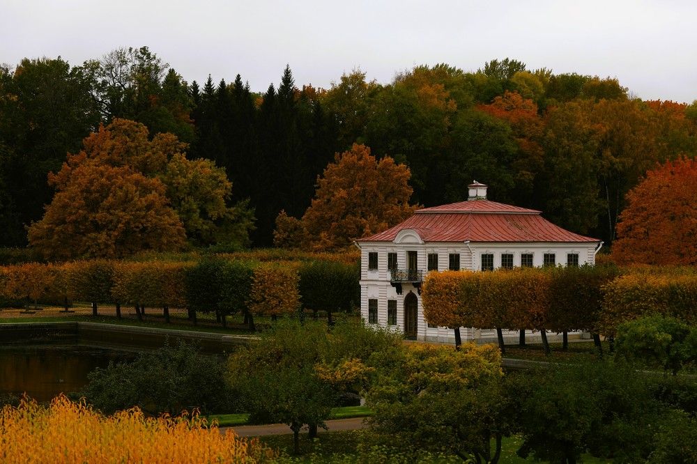 Photograph by Владимир Грибков