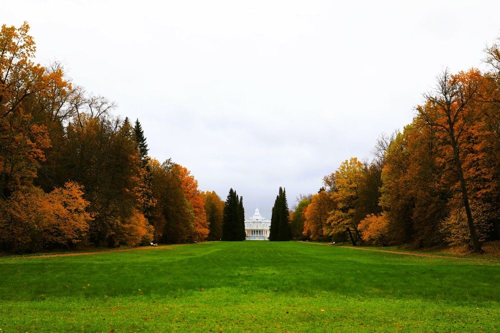 Photograph by Владимир Грибков