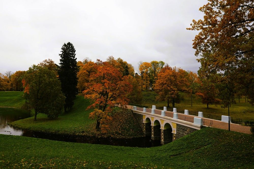 Photograph by Владимир Грибков