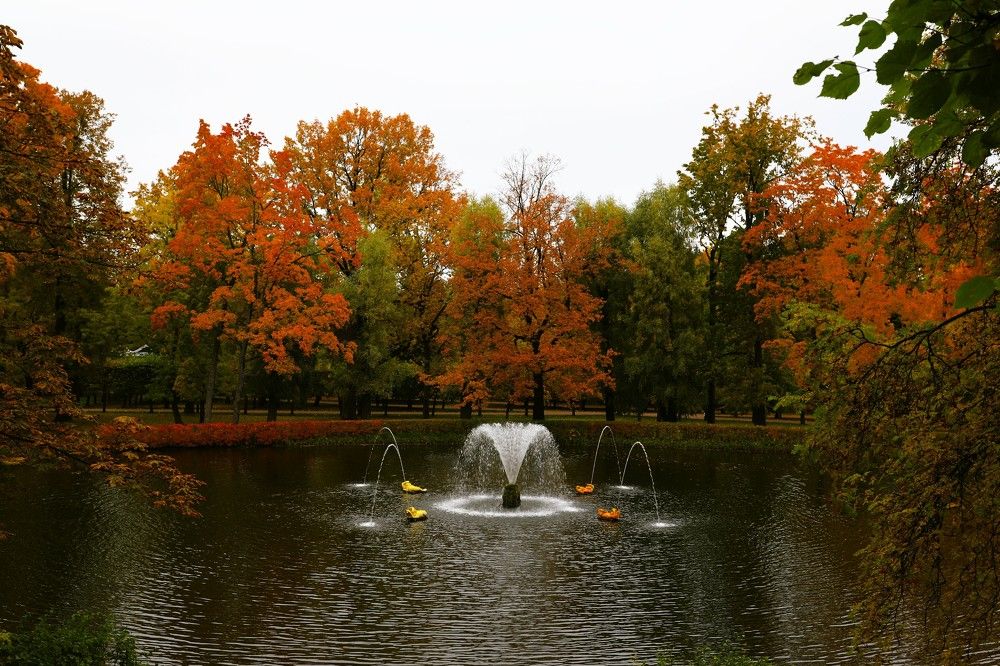 Photograph by Владимир Грибков