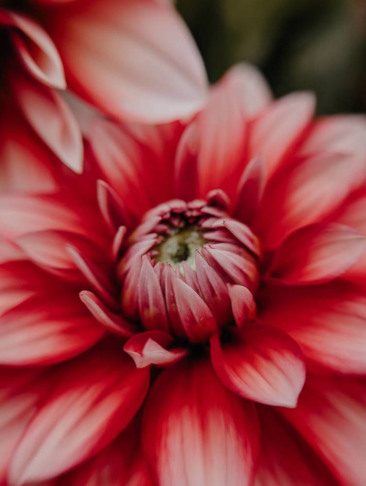 Фотография автора Мария Михайлова